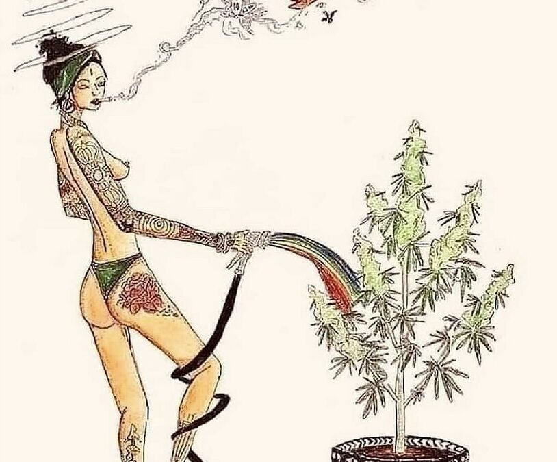 thc homemade