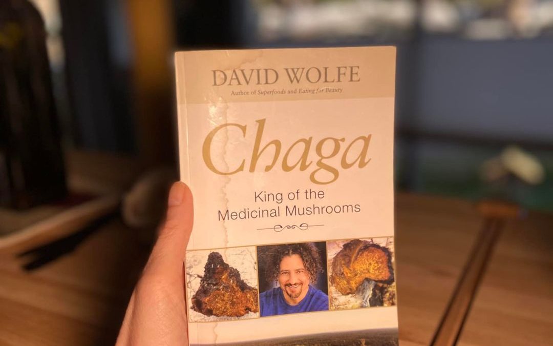 chaga