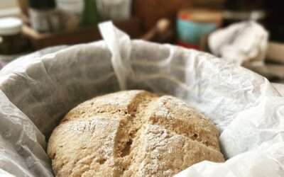 Bread