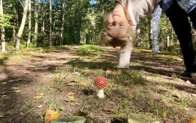 Mushroom story