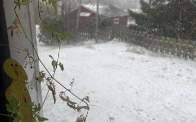 Second winter Åland