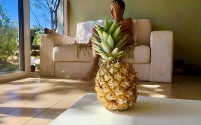 Ananas