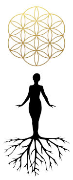 moonmagick-logo-roots-meraki